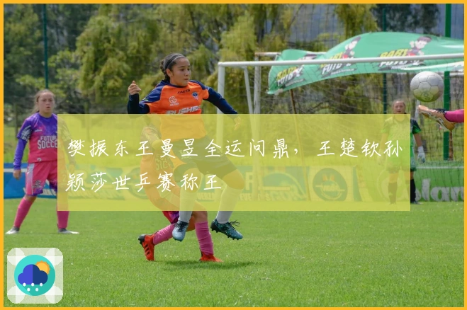 樊振东王曼昱全运问鼎，王楚钦孙颖莎世乒赛称王